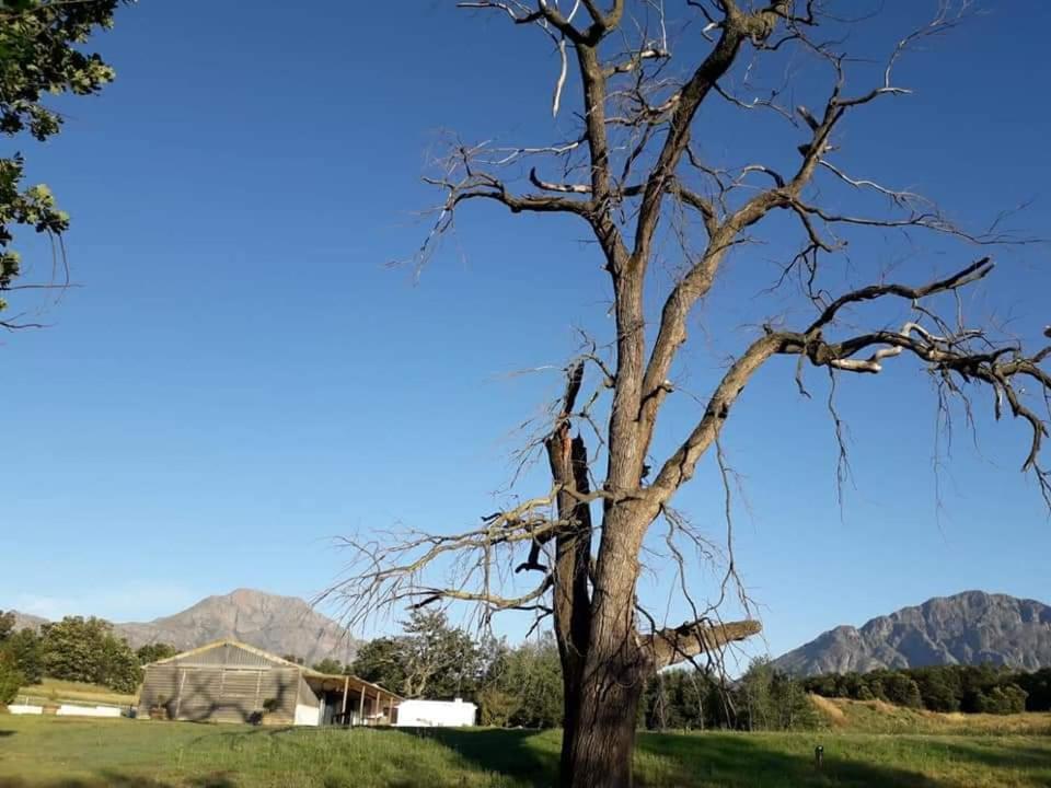 Klipfontein Rustic Farm & Camping ทุลบักห์ ภายนอก รูปภาพ