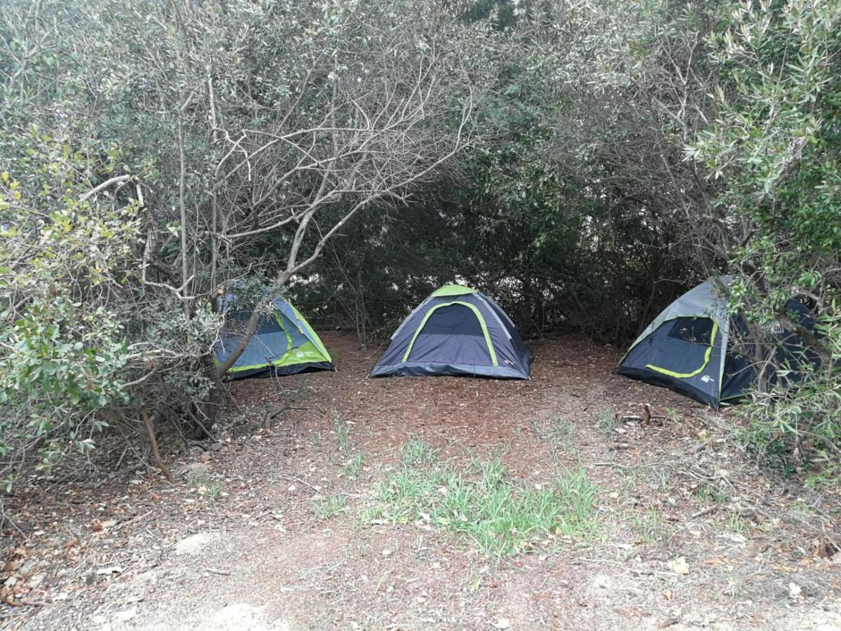 Klipfontein Rustic Farm & Camping ทุลบักห์ ภายนอก รูปภาพ