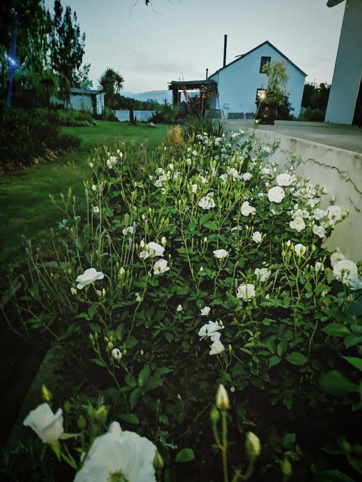 Klipfontein Rustic Farm & Camping ทุลบักห์ ภายนอก รูปภาพ